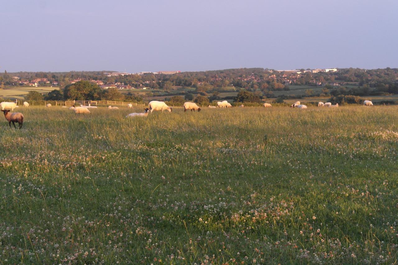 Handley Barn Σίλβερστοουν Εξωτερικό φωτογραφία